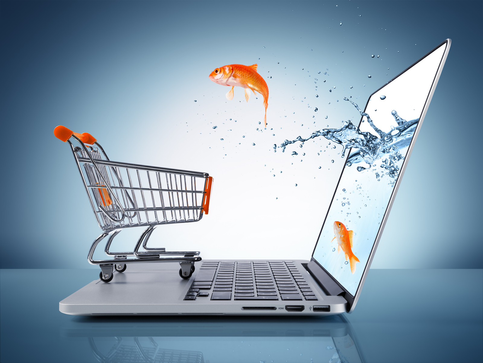 5 E-Commerce Basics for Your Business in 2015