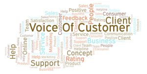 Customer Voice